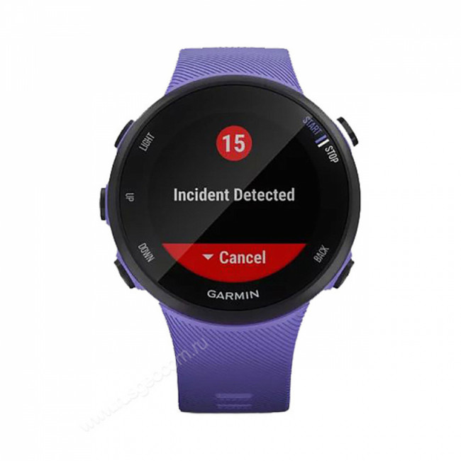 Часы Garmin Forerunner 45S ирис Часы Garmin Forerunner 45S ирис